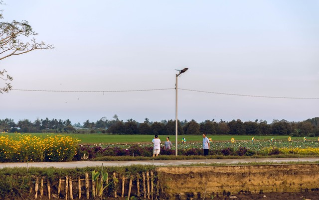 Can Tho giants spend billions to build an "ecological area" of more than 10,000 square meters next to the mansion for people to enjoy Tet completely free - Photo 12.