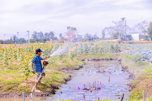 Can Tho giants spend billions to build an "ecological area" of more than 10,000 square meters next to the mansion for people to enjoy Tet completely free - Photo 9.