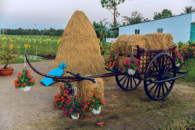 Can Tho giants spend billions to build an "ecological area" of more than 10,000 square meters next to the mansion for people to enjoy Tet completely free - Photo 7.