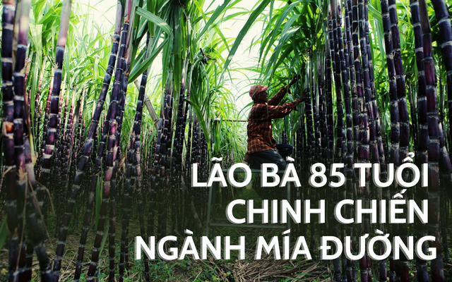 Lão bà Kỷ Mão lớn tuổi nhất sàn chứng Việt: DN cán đích lợi nhuận ngay quý đầu niên độ, trả cổ tức cả trăm tỷ, EPS top đầu, cổ phiếu trụ vững trong CLB "giá 3 chữ số"