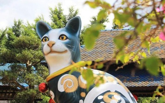 Chú mèo Lâm Đồng tham gia cuộc đua linh vật của năm - Ảnh: D.D