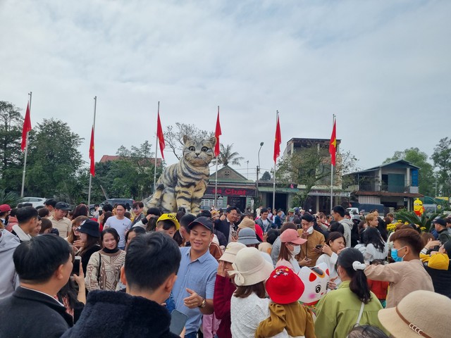 Mồng 5 tết, hoa hậu mèo Quảng Trị vẫn hút đông người tới chụp hình - Ảnh 1.