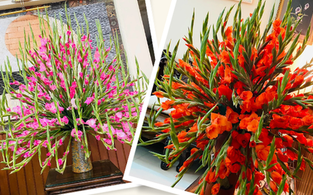 Mẹ ở Hải Phòng khoe cách cắm hoa lay ơn tỏa trăm bông đón Tài Lộc vào nhà