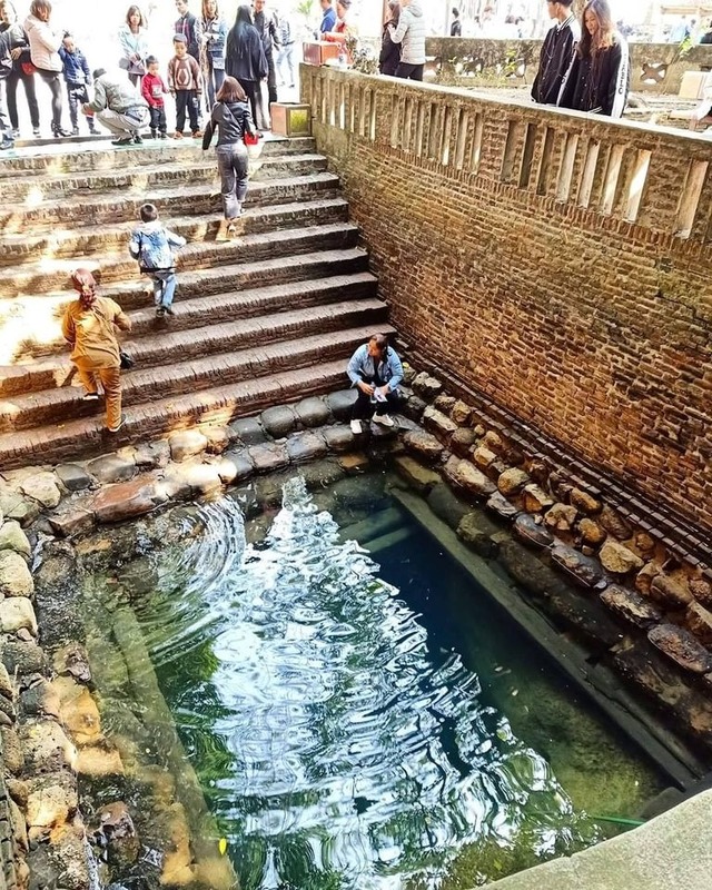 Visiting Bac Ninh on the first day of the year, where the clear Jade Well is visited by many young people - Photo 6.