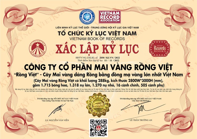 Chủ nhân 2 cây mai mạ vàng trị giá 11 tỷ đồng, vừa xác lập kỷ lục Việt Nam: Tôi hy vọng sẽ góp phần tôn vinh giá trị truyền thống ngày Tết của người Việt - Ảnh 10.