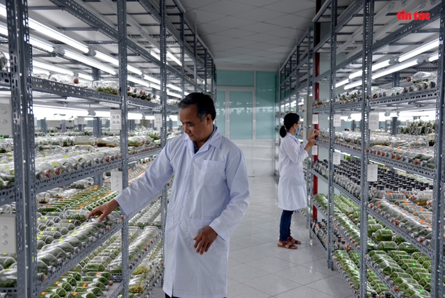 TP Hồ Chí Minh: Đẩy mạnh ứng dụng công nghệ cao vào nông nghiệp - Ảnh 6.