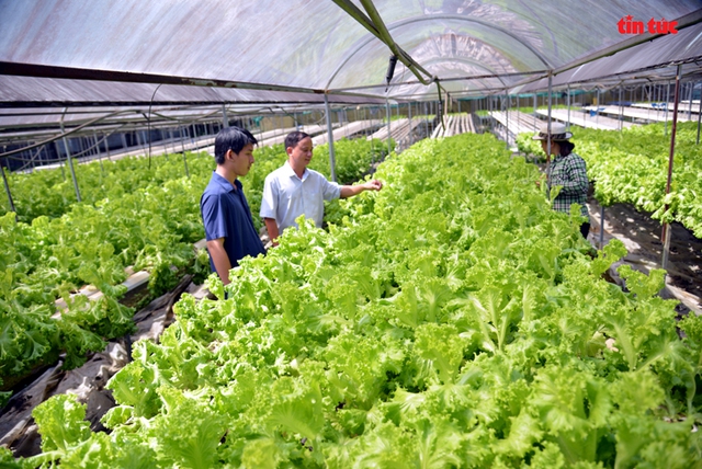 TP Hồ Chí Minh: Đẩy mạnh ứng dụng công nghệ cao vào nông nghiệp - Ảnh 3.
