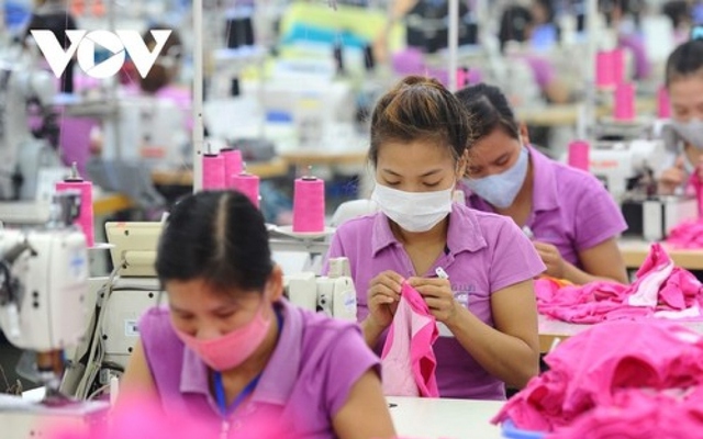 Năm 2022, trong bối cảnh nền kinh tế toàn cầu gặp nhiều khó khăn, ngành dệt may Việt Nam xuất khẩu đạt 44 tỷ USD, tăng 8,8% so với năm 2021.