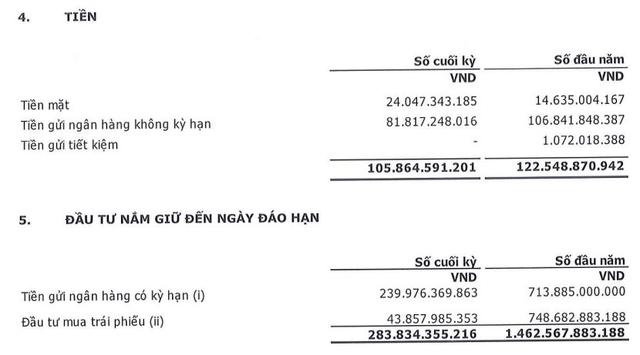 CEN Land của Shark Hưng báo lỗ 58 tỷ đồng trong quý 4, chỉ hoàn thành 22% kế hoạch lợi nhuận cả năm 2022 - Ảnh 3.