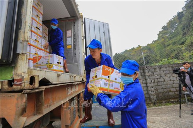 Xuất khẩu gần 7 tấn cam Cao Phong đầu tiên sang Anh - Ảnh 2.