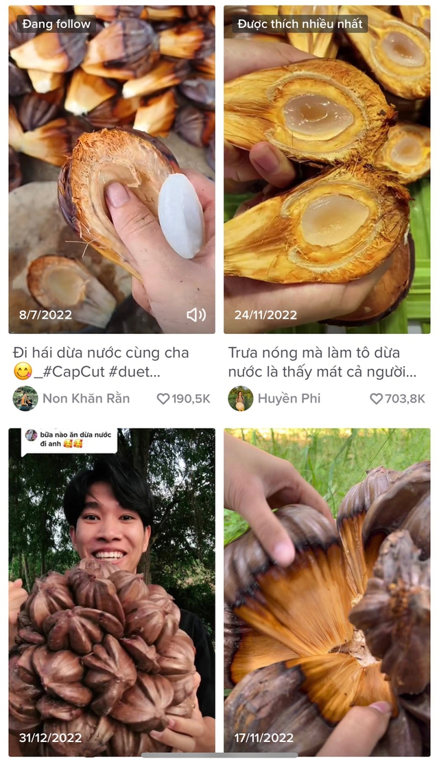 Review the strange coconut dishes that are used to 