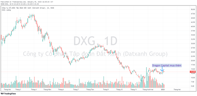 Nhóm quỹ Dragon Capital gom thêm hàng triệu cổ phiếu DXG và STB cuối năm 2022 - Ảnh 1.