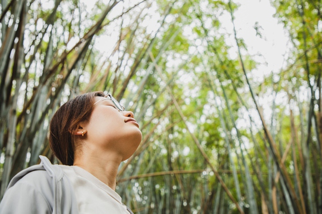 Phổi giúp chúng ta sống sót, hàng ngày cần làm được 5 việc để giải độc phổi tốt nhất - Ảnh 2.