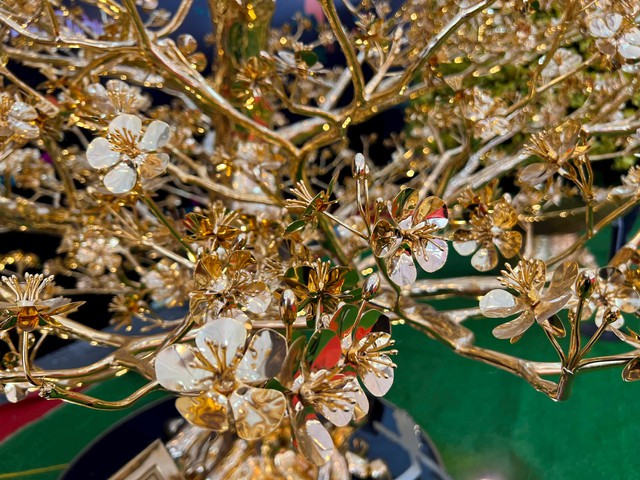 Chiêm ngưỡng cây mai mạ vàng lớn nhất Việt Nam giá 6 tỉ dịp Tết Quý Mão - Ảnh 3.