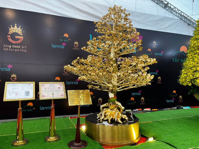 Chiêm ngưỡng cây mai mạ vàng lớn nhất Việt Nam giá 6 tỉ dịp Tết Quý Mão - Ảnh 2.