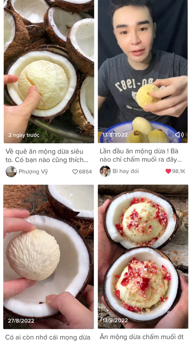 Reviewing strange coconut dishes that are used to 