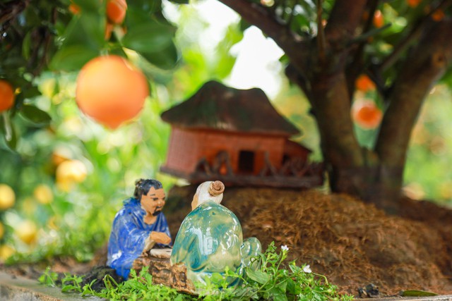 Kumquat bonsai hugs a unique and strange old house to attract customers - Photo 6.