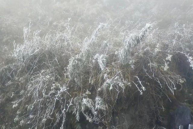 Băng tuyết phủ trắng cảnh vật, cây cối trên đỉnh Fansipan - Ảnh 8.