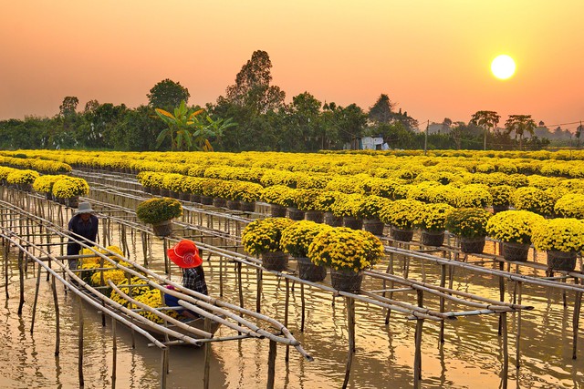 Những địa điểm đẹp ở Việt Nam khiến dân tình hối hả lên đồ chụp hình đón xuân - Ảnh 3.
