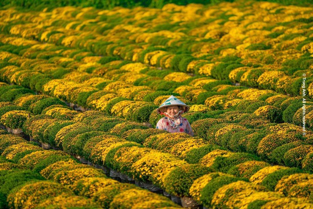 Những địa điểm đẹp ở Việt Nam khiến dân tình hối hả lên đồ chụp hình đón xuân - Ảnh 2.
