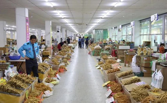 Mẹ Việt ở Hàn Quốc kể chuyện đi chợ nhân sâm lớn nhất xứ sở kim chi, hàng bày la liệt như khoai lang nhiều đến choáng ngợp - Ảnh 2.