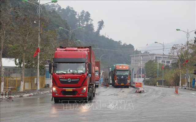 Phương tiện nhập cảnh vào Việt Nam qua cửa khẩu Quốc tế Hữu Nghị (Lạng Sơn) tuân thủ mọi quy định về kiểm dịch.