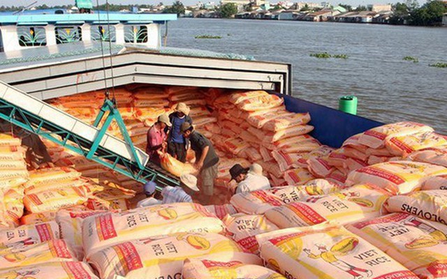 Xuất khẩu gạo, rau quả dự kiến lập kỷ lục mới