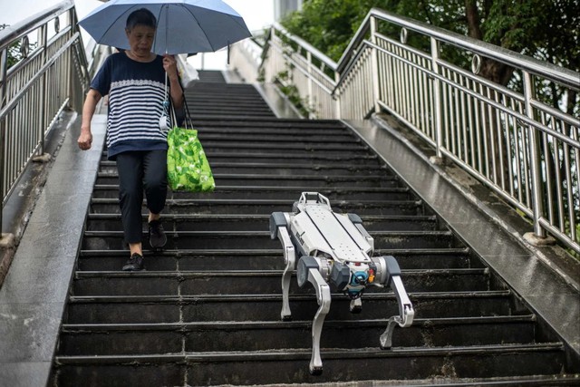 Một chú chó robot của Deep Robotics ở Hàng Châu đang di chuyển xuống các bậc thang của lối đi dành cho người đi bộ ở thành phố Chiết Giang. Ảnh: AFP