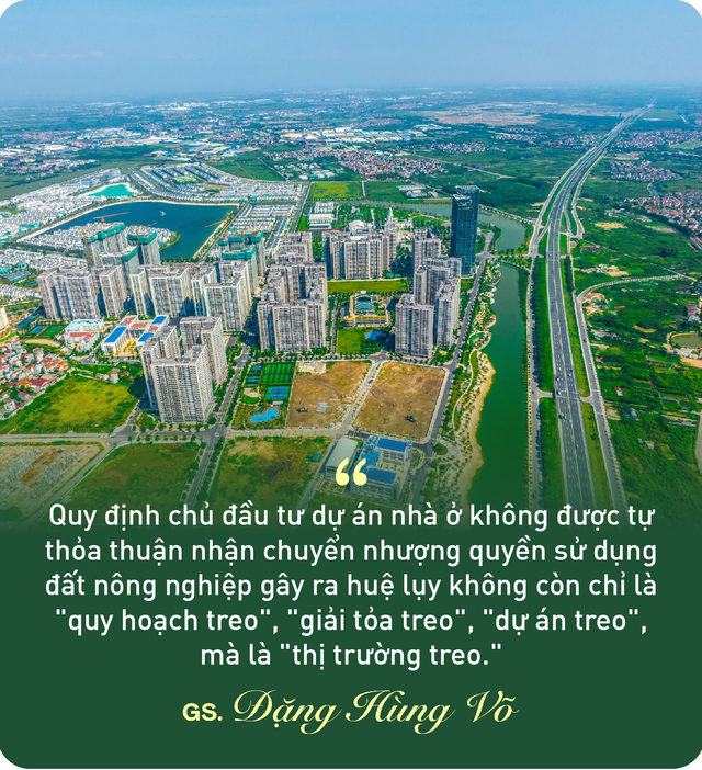 GS Đặng Hùng Võ: Dự thảo Luật Đất đai đề xuất phải có đất ở để làm dự án, “hòn đá” ngáng đường phát triển thị trường bất động sản - Ảnh 2.
