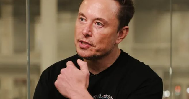 ‘Tôi xin lỗi’: Elon Musk buồn bã khi lợi nhuận của Tesla giảm 44%