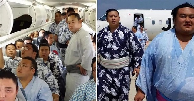 Đoàn sumo rầm rộ lên máy bay khiến hãng hàng không "toát mồ hôi hột", phút chót phải điều chuyên cơ "san sẻ gánh nặng"