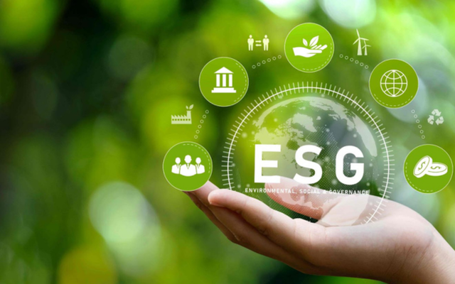 Thực thi chiến lược ESG: Những “được - mất” từ người đi tiên phong