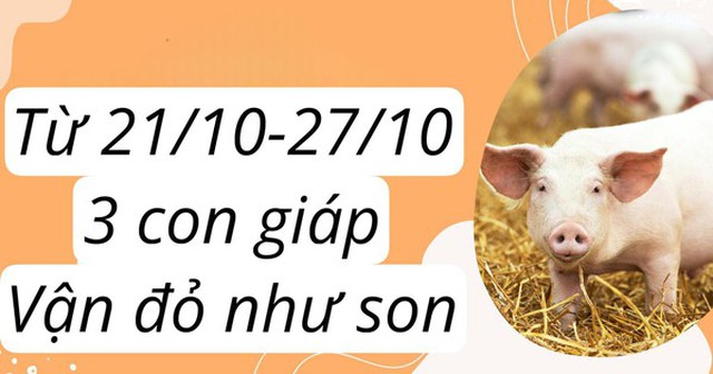 Từ 21/10 đến 27/10, 3 con giáp này sẽ nhận được tài lộc lớn, vận đỏ như son, sự nghiệp thăng hoa