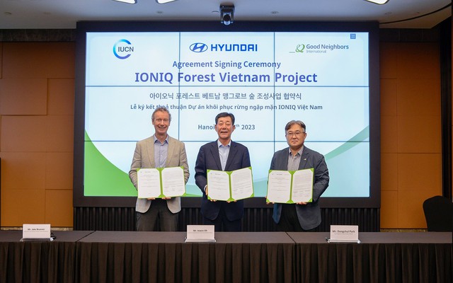 Hyundai chung tay trồng 120.000 cây phục hồi rừng ngập mặn ở Việt Nam