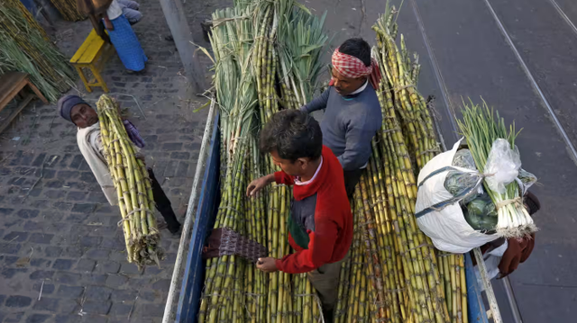 Sau gạo và đường, thêm một loại nông sản gặp bão giá do Ấn Độ - Là mặt hàng Việt Nam cũng đang nhập khẩu hàng triệu tấn - Ảnh 2.