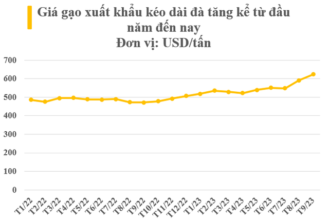 Nhiều cường quốc 'xếp hàng' nhập khẩu, có thị trường tăng gần 12.000% - Giá  “hạt ngọc” của Việt Nam tăng ra sao kể từ đầu năm? - Ảnh 3.