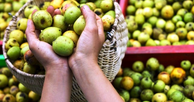 1 loại quả có vị chua chát là “thuốc chống ung thư tự nhiên”, hạ đường huyết hiệu quả: Rất sẵn ở Việt Nam