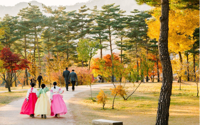Hàn Quốc vào thu – Mùa đẹp nhất mà du khách nên ghé