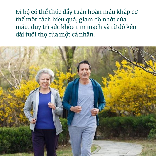 Đi bộ nhiều có thực sự giúp sống thọ? Bác sĩ nói thật: Hơn 50 tuổi kiên trì 3 điều, còn hơn tập thể dục - Ảnh 1.