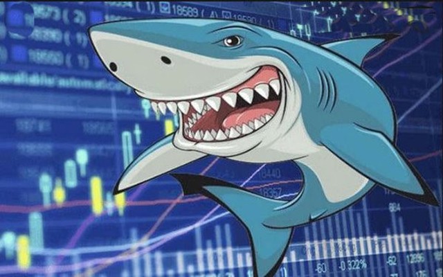 Loạt "cá mập" của Chứng trường bạc tỷ lộ diện với hiệu suất cao nhất lên đến 54%, nhà đầu tư chỉ còn ít ngày để đăng ký tham gia vòng 2