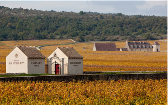 Tinh hoa rượu vang Domaine Faiveley từ nước Pháp