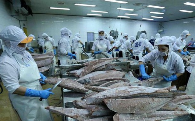 Cá ngừ đứng top 3 xuất khẩu các mặt hàng thủy sản Việt Nam