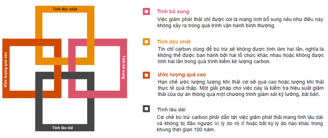 Để thị trường carbon trở thành đòn bẩy hữu hiệu cho mục tiêu Net Zero - Ảnh 6.