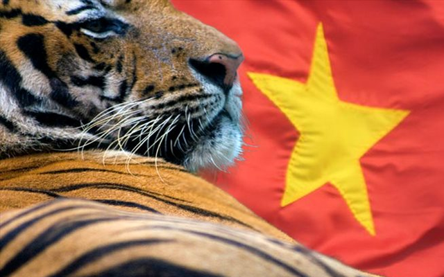 Asia Times: Việt Nam sẽ khẳng định tư cách cường quốc xuất khẩu công nghệ cao, một "con hổ châu Á" sắp xuất hiện