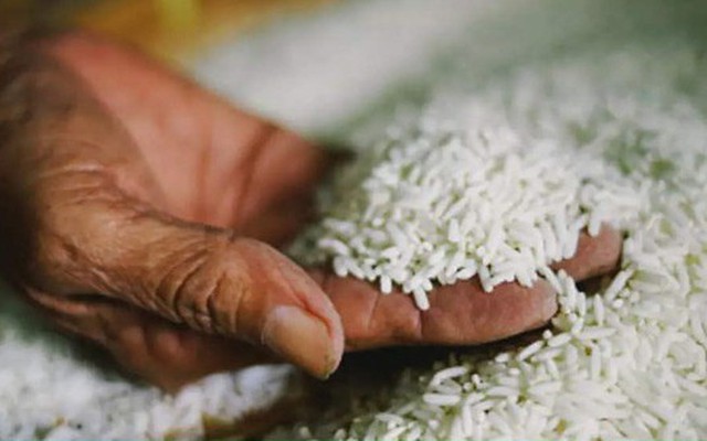 Gạo Việt vẫn giữ mức giá cao