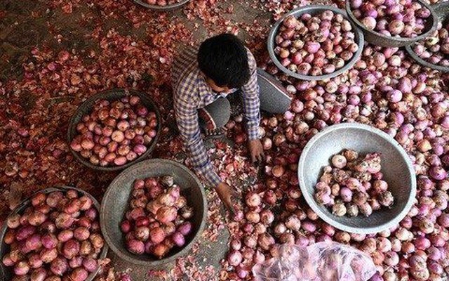 Loại củ bán đầy chợ Việt đang khiến cả châu Á chao đảo: giá tăng vọt sau lệnh cấm xuất khẩu của Ấn Độ, người buôn than vãn 'chẳng tìm được hàng để bán'