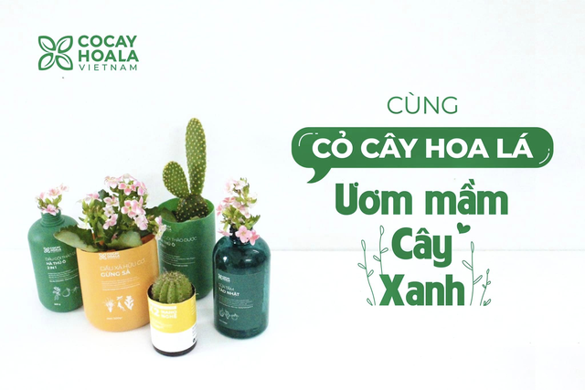 Nữ CEO Cỏ Cây Hoa Lá: Được trao đi những &quot;bữa cơm có thịt&quot;, đôi khi còn hạnh phúc hơn cả sự nổi tiếng - Ảnh 5.