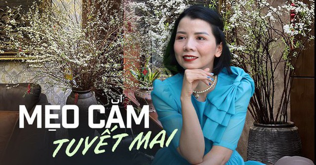 "Học lỏm" mẹ đảm Quảng Ninh cách cắm tuyết mai đơn giản nhưng thu về thành quả mĩ mãn, đảm bảo nở bung, trắng bừng ngày Tết