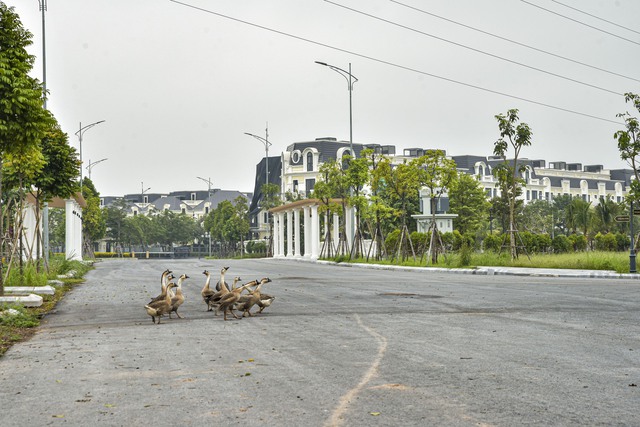 Hàng chục dự án ‘việt vị’ vì đoạn đường hơn 5 km làm 6 năm không xong  - Ảnh 5.