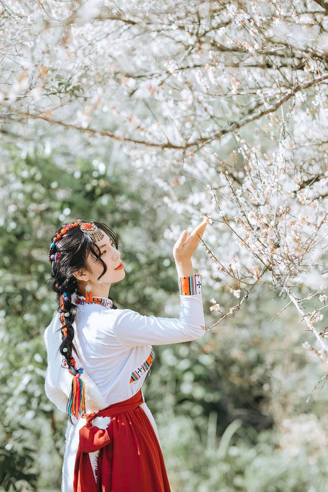 Invite each other to go camping in the middle of a blooming plum garden in Moc Chau - Photo 2.